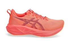 Asics Dame L&#248;pesko Novablast 5 Fantastisk allround l&#248;pesko FR/EP